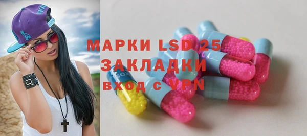 МДПВ Инсар