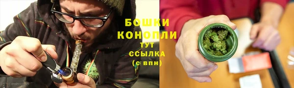МДПВ Инсар