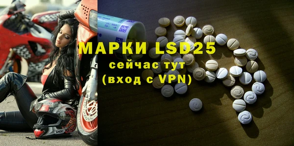 МДПВ Инсар