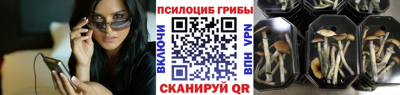 Галлюциногенные грибы мухоморы  Сокол 