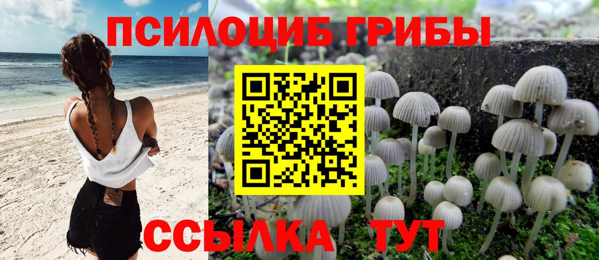 Сокол  Галлюциногенные грибы MAGIC MUSHROOMS  Вход с VPN  Галлюциногенные грибы мицелий 