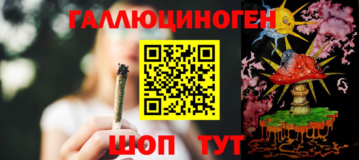 Псилоцибиновые грибы Psilocybine cubensis Сокол